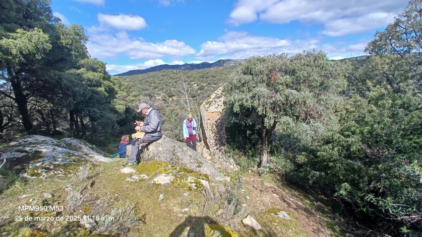 Imagen de la ruta
