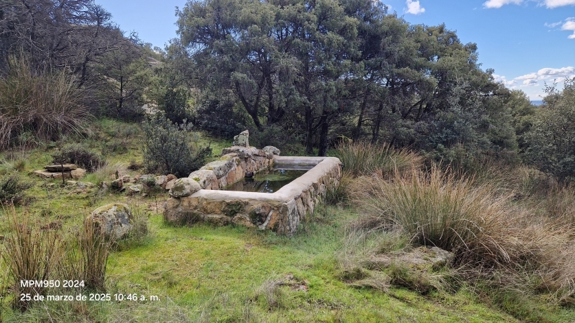 Imagen de la ruta